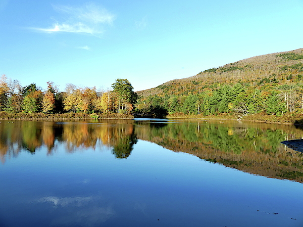 Autumn in the White Mountains Region by Lyuba Filatova Autumn in the White Mountains Region by Lyuba Filatova